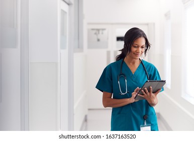 Женщина-врач, носящая скрабы в коридоре больницы с помощью цифрового планшета