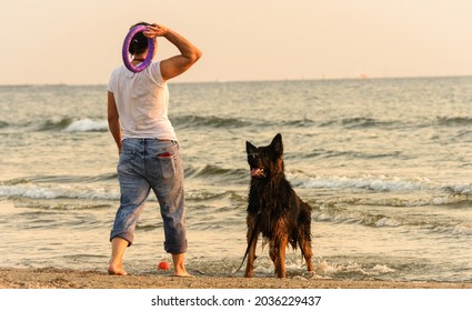 female dog owner with his long-haired German Shepherd trains at sea beach