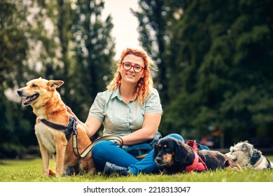 Female Dog Walker With Dogs Enjoying In City Park.