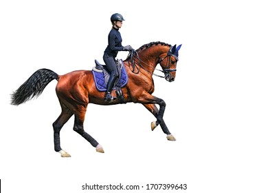 Female Dressage Rider Is Galloping On Bay Horse Isolated On White Background