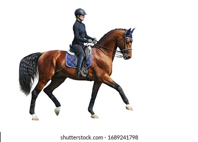 Female Dressage Rider On Bay Horse, Isolated On White Background