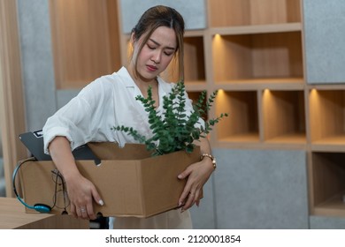 Female Employee Holding A Box Of Documents, Vases And Personal Items Relocates To A New Workplac