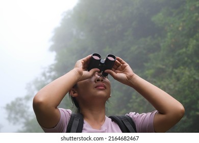 Female Environmentalist Using Binoculars In The Rainforest. Woman Explorer Use Binoculars To Travel And Have A Happy Smile. Tourists Looking Through Binoculars To See Wild Birds In The Jungle.