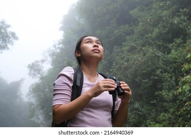 Female Environmentalist Using Binoculars In The Rainforest. Woman Explorer Use Binoculars To Travel And Have A Happy Smile. Tourists Looking Through Binoculars To See Wild Birds In The Jungle.