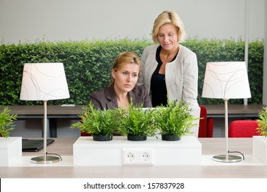 Female Environmentalists Working On Laptop At Office Desk