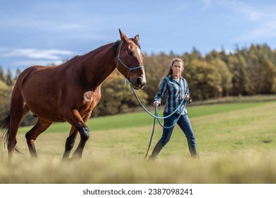 A female equestrian during basic work in natural horsemanship with her bay brown trotter horse in autumn on a meadow outdoors