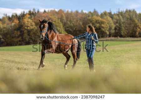 A female equestrian during basic work in natural horsemanship with her bay brown trotter horse in autumn on a meadow outdoors