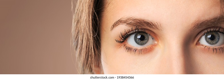 Female Eye with Extreme Long Eyelashes. Makeup, Cosmetics, Beauty.