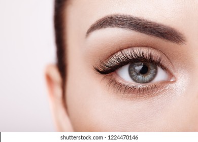 Ojos femeninos con pestañas extremadamente largas y falsas. Extensiones Eyelash. Maquillaje, Cosméticos, Belleza. Cerrar, macro