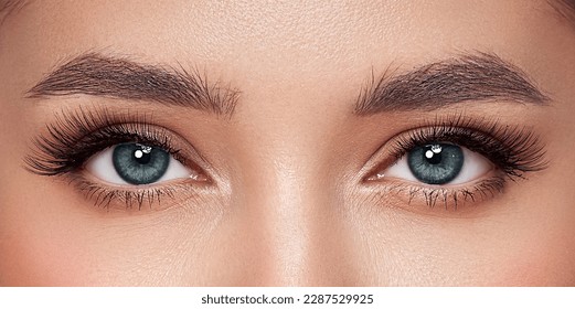Female Eye with Extreme Long False Eyelashes. Eyelash Extensions. Makeup, Cosmetics, Beauty. Close up, Macro