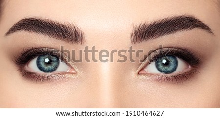 Female Eye with Extreme Long False Eyelashes. Eyelash Extensions. Makeup, Cosmetics, Beauty. Close up, Macro