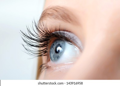 Female eye with long eyelashes close up - Shutterstock ID 143916958
