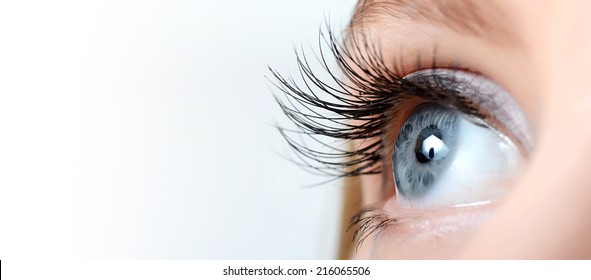 Female Eye With Long Eyelashes Close Up