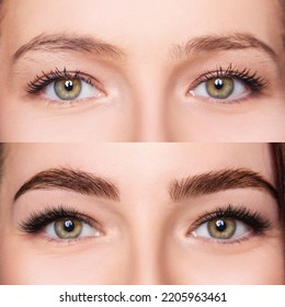 Female eyebrows before and after brows correction. Close-up. - Shutterstock ID 2205963461