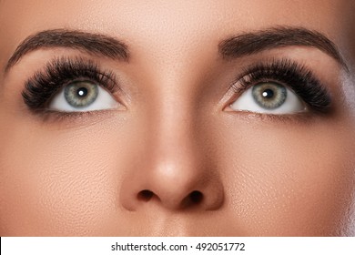 Female face with beautiful eyebrows and artificial eyelashes for maximum volume