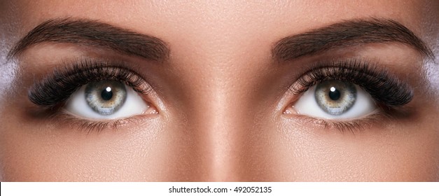 Female face with beautiful eyebrows and artificial eyelashes for maximum volume