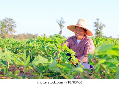 Female Farmer Agriculture Cultivation Concept Stock Photo 718788406 ...