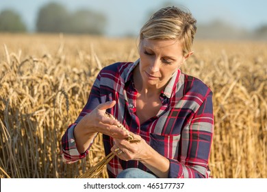 female farmer analyzing wheat crop