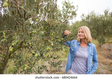 Female farmer checking a tree of olives in farm - Powered by Shutterstock