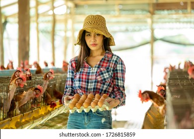Female farmer with chicken eggs form organic farm. Concept of chicken farm standardized.