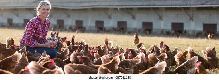 female farmer in farm with chicken - Shutterstock ID 687842110