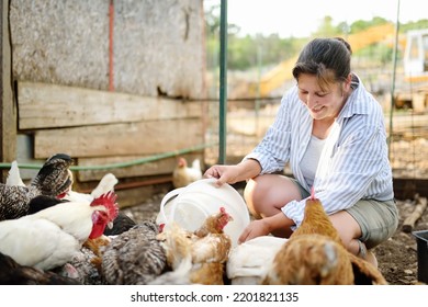 Female farmer feeding chickens from bio organic food in the farm chicken coop. Floor cage free chickens is trend of modern poultry farming. Small local business. - Powered by Shutterstock