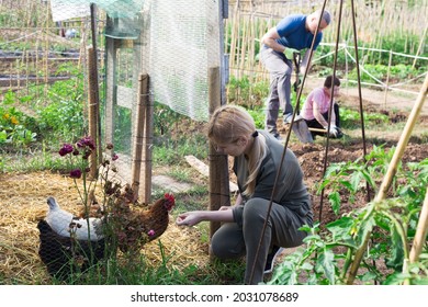 Female Farmer Feeds Hens In Chicken Coop In The Backyard Of Country House