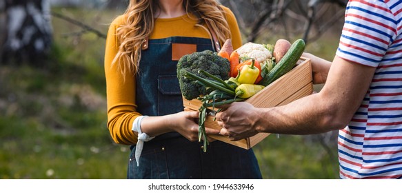 Female Farmer Giving Box Of Veg To Customer On A Sunny Day. Farmer Giving Box Of Veg To Customer On A Sunny Day. Local Farmer Talks With Customer At Farmers' Market