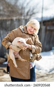 Female Farmer Holding A Pig.Domestic Animal Breeding