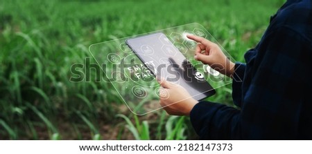 Female farmer inspecting her smart farm grain field. technology and send data to the cloud from the tablet. in the analysis and control of plant quality in the soil smart digital agriculture