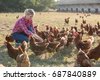 poultry farmer