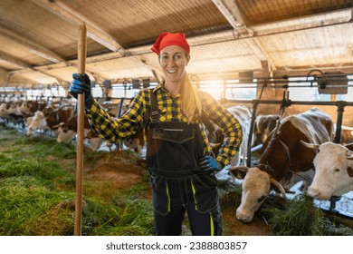 Female farmer with a pitchfork standing in a cowshed. Intensive animal farming or industrial livestock production, factory farming - Powered by Shutterstock