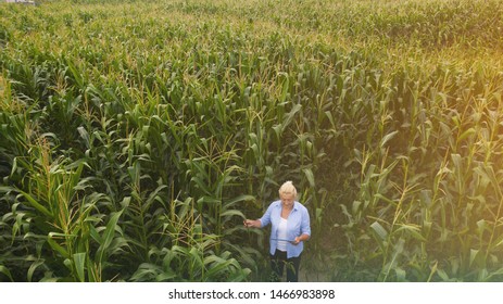 Female Farmer Standing In Corn Field Aerial View Of Woman Farmer With Digital Tablet Computer Examining Crops.