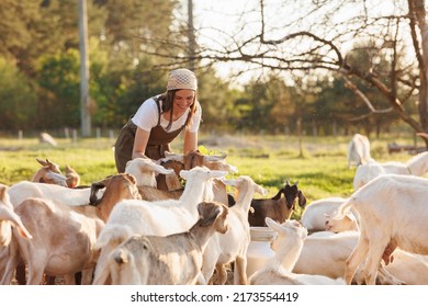Female farmer taking care of cute goats. Young woman getting pet therapy at ranch. Animal husbandry for the industrial production of goat milk dairy products. Agriculture business and cattle farming.