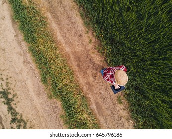 Female Farmer Using Digital Tablet Computer In Green Wheat Field, Drone Point Of View