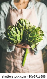 Female Farmer Wearing Pastel Linen Apron And Shirt Holding Fresh Artichokes In Her Hands, Selective Focus. Organic Produce Or Local Market Concept