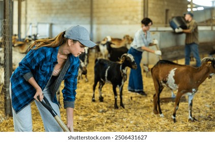 Female farmer worker cleaning and feeding goats. Ecologically friendly farming - Powered by Shutterstock