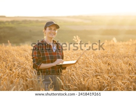 Female farmer working with laptop on wheat field. Smart farming and digital agriculture.	