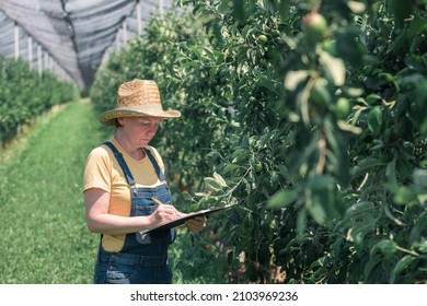 Female farmer writing production notes in apple fruit orchard, woman farm worker with straw hat and bib overalls jeans examining plantation and writing reminder comments in notepad