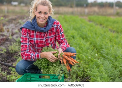 4,276 Girl picking vegetables field Stock Photos, Images & Photography ...