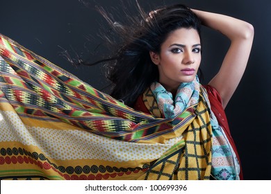 Female Fashion Wearing Traditional Indian Dress