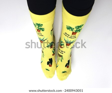 Female feet with colorful plants and flowers socks houseplant aloe vera cactus watering and taking care of plants and housework at home lifestyle background