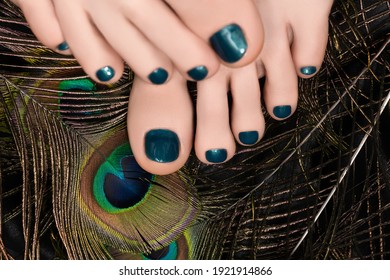 Peacock Feet Images Stock Photos Vectors Shutterstock