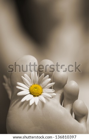 female feet with flower