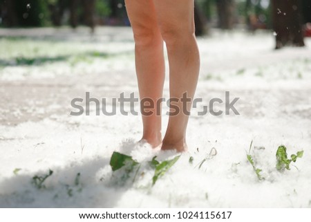 Female feet on grass covered with poplar fluff. Poplar blooming season, sunnyday in park. Fire risk