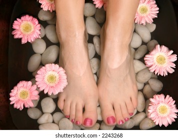 Female Feet In A Relaxing Aromatic Foot Bath With Massaging White Stone Pebble Bed And Floating Pink Flowerheads.  Feet Are Invigorated, Skin Is Supple And Refreshed. Pure Indulgence For Your Feet.