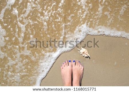 Female feet and seashell on the wet sand.