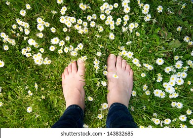 Female feet standing on green grass and white flowers - from above