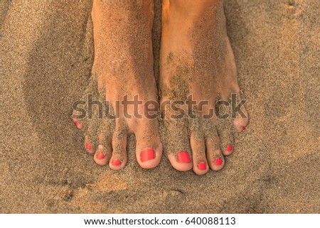 Female feets with pink nails on the sand