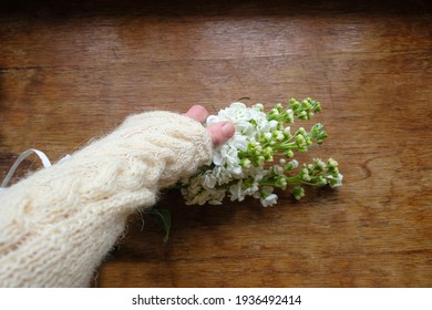 Female Fingers And White Woolen Sweater Sleeve. The Woman Takes A Bouquet Of White Matthiola Flowers. Old Wooden Background. Top View. Copy Space.